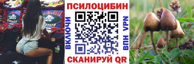 где найти   Когалым  Галлюциногенные грибы мицелий 