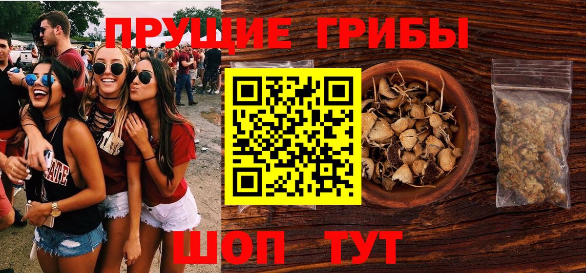 Галлюциногенные грибы мицелий Когалым