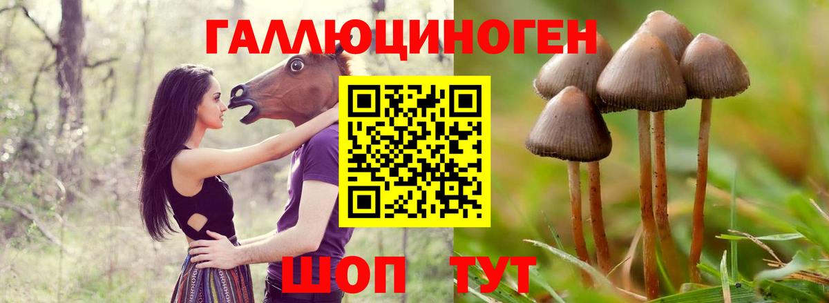 Когалым  Псилоцибиновые грибы ЛСД  Галлюциногенные грибы Magic Shrooms  сколько стоит  Вход с VPN 